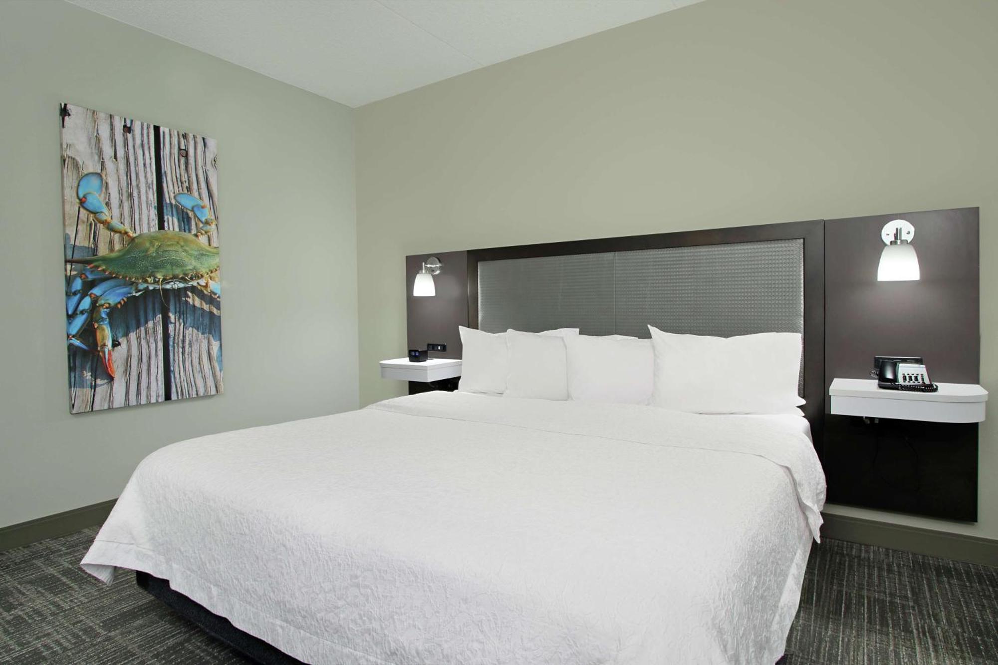 Hampton Inn Hagerstown-Maugansville 외부 사진
